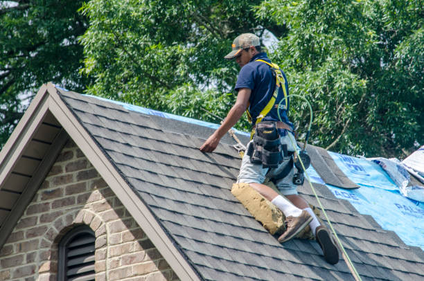 Best Best Roofing Contractors  in Somerset, KY